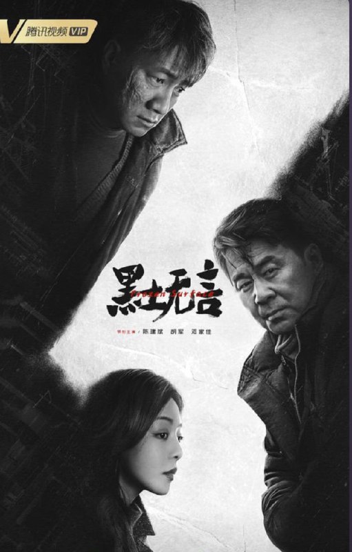 黑土无言 (2024) 4K 全集