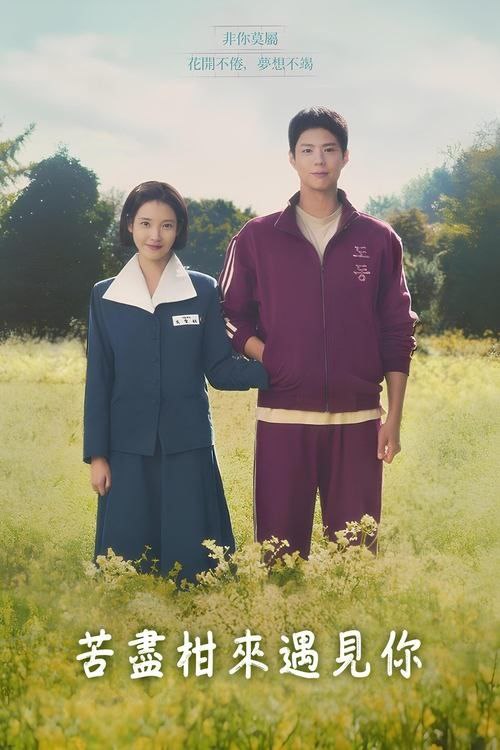 苦尽柑来遇见你 (2025) 4K HDR 全集 内嵌简繁字幕