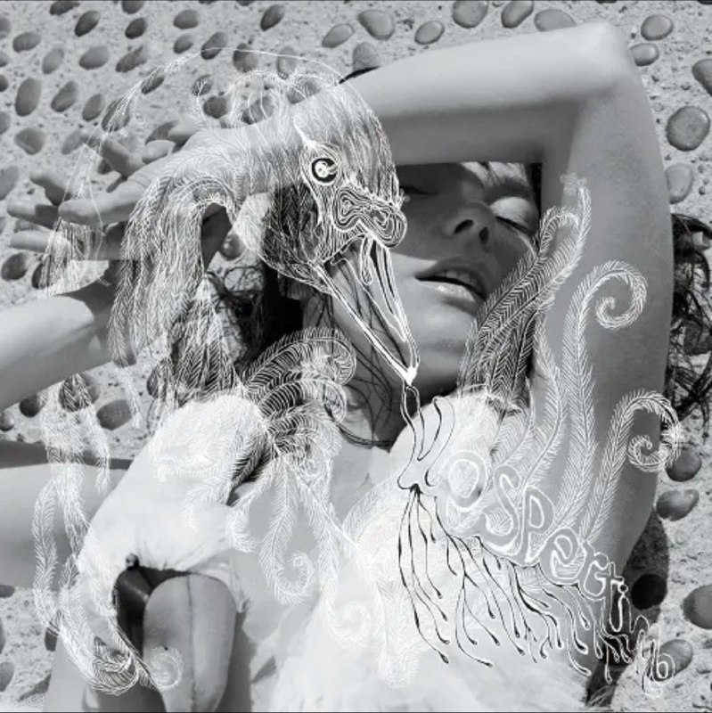 Björk - 2001年专辑 - Vespertine    Flac
