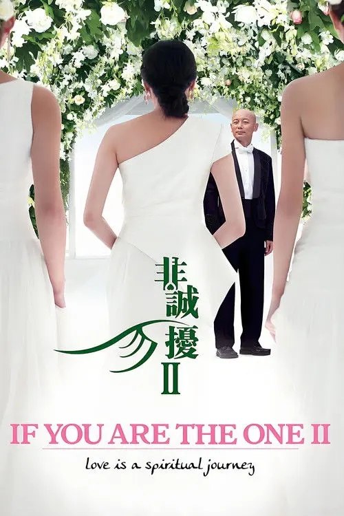 非诚勿扰2 (2010) 4K
