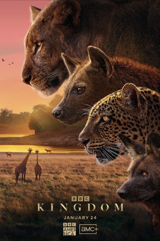 动物王国 (2025) 4K 全集 国英多音轨 简英双语字幕