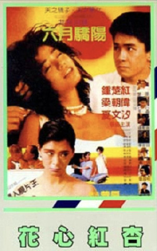 花心红杏 (1985) 4K 国语 简中硬字幕
