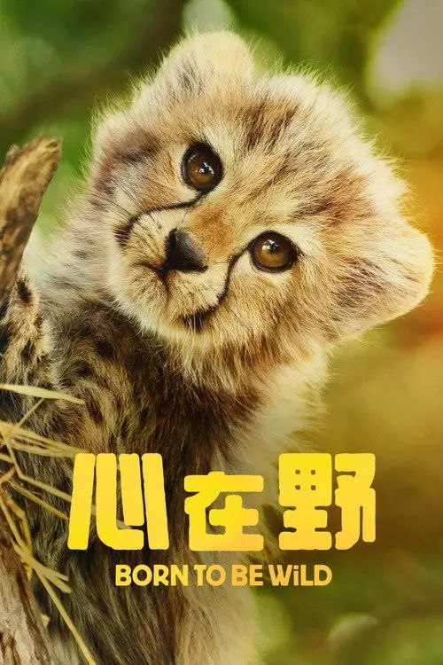 生而狂野 (2025) 1080P 全6集 内封简繁英字幕