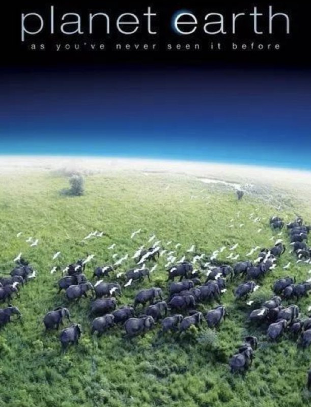 【原盘】地球脉动 (2006) 1080P REMUX  外挂简英字幕