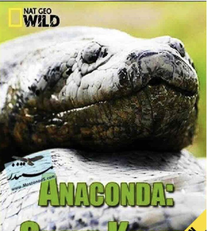 蟒蛇：沉默杀手 (2014) 4K 国语 中英硬字幕