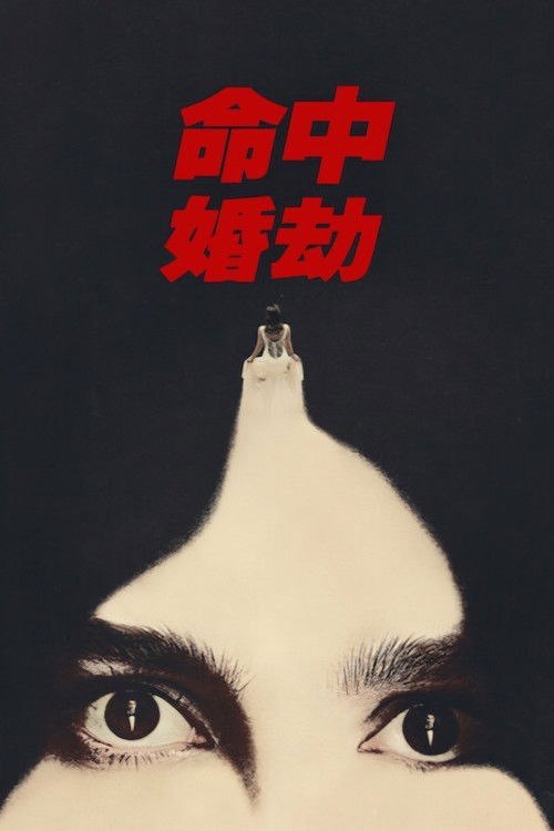 命中婚劫 (2026) 1080P 全集 内封简繁英字幕