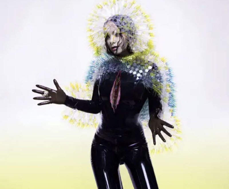Björk - 2015年专辑 - Vulnicura   Flac
