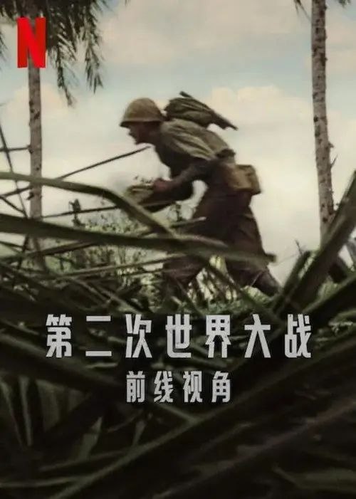 第二次世界大战：前线视角 (2023) 4K 杜比视界 全集 内封简英双语特效字幕