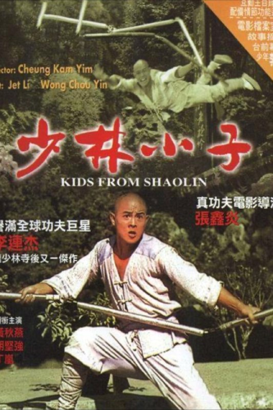 【原盘】少林小子 (1984) 1080P REMUX 国粤多音轨 中字外挂/内嵌字幕