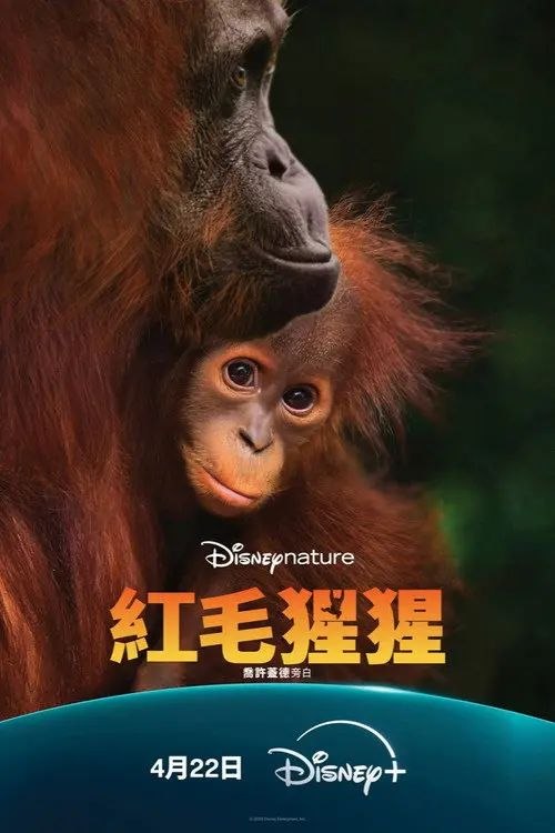 红毛猩猩 (2026) 4K HDR 内封简繁英字幕