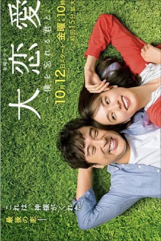大恋爱：与将我忘记的你 (2018) 1080P 全集 简日双语硬字幕