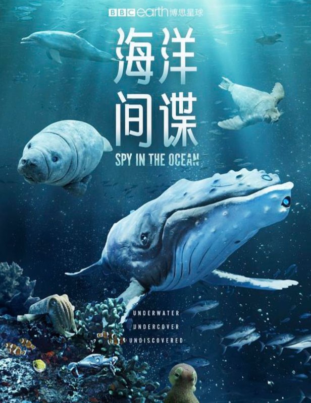 海洋间谍 (2023) 1080P 全集 简中硬字幕