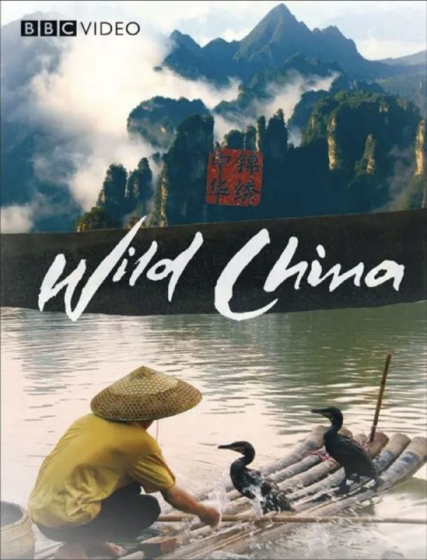 美丽中国 (2008) 1080P 全集 国粤英多音轨