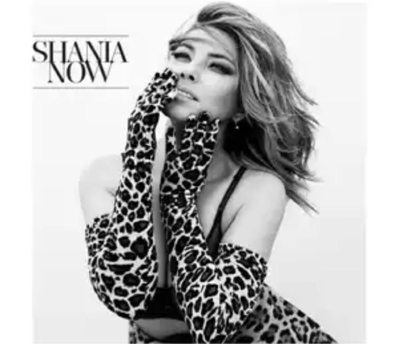 Shania Twain - 2017年专辑 - Now (Deluxe)   Flac
