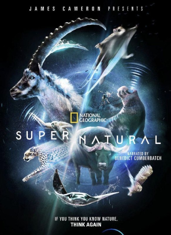 超凡动物奇观 (2022) 4K HDR 内嵌中文字幕