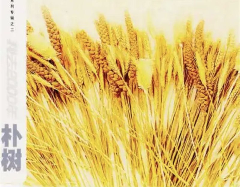 朴树 - 2000年专辑 - 我去2000   Flac