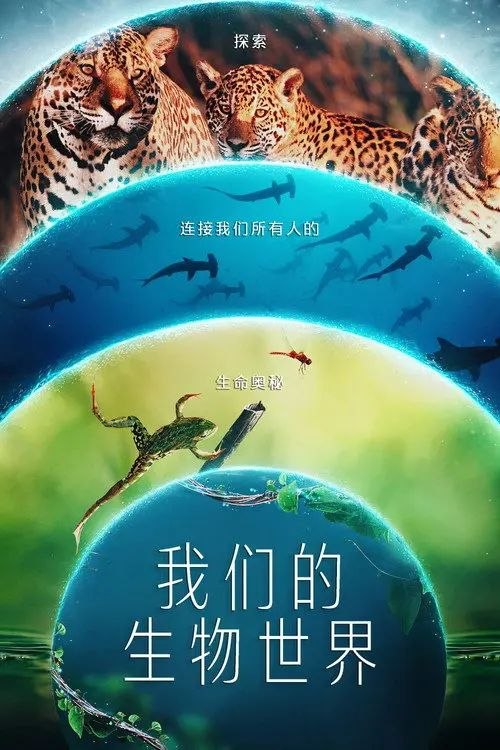我们的生物世界 (2024) 4K HDR & Dv 全4集 内封简繁英字幕