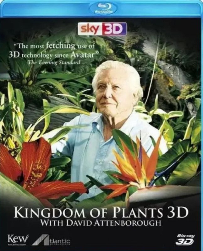 植物王国 (2012) 1080P 全集 内封简英双语字幕