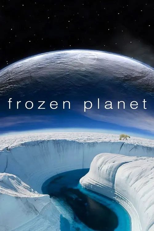 【原盘】冰冻星球 (2011) 1080P REMUX 全集 国英多音轨 内封简繁字幕