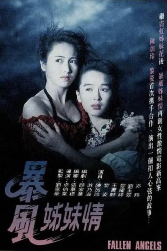 暴风姊妹情 (1991) 1080P 粤语