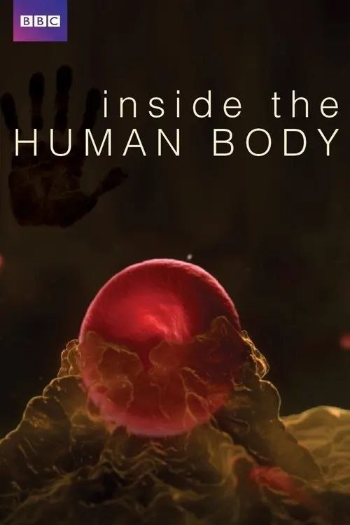 人体奥秘 (2011) 1080P 全集 国粤英多音轨 内封简繁英特效字幕