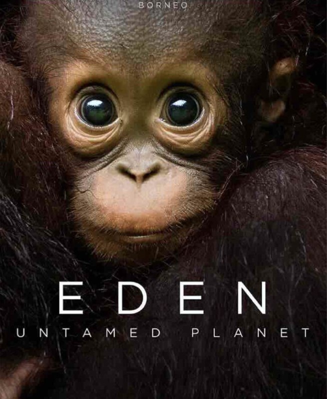 伊甸园：最后的秘境 (2021) 4K 全集 中英硬字幕