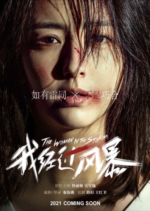 我经过风暴 (2023) 4K 高码