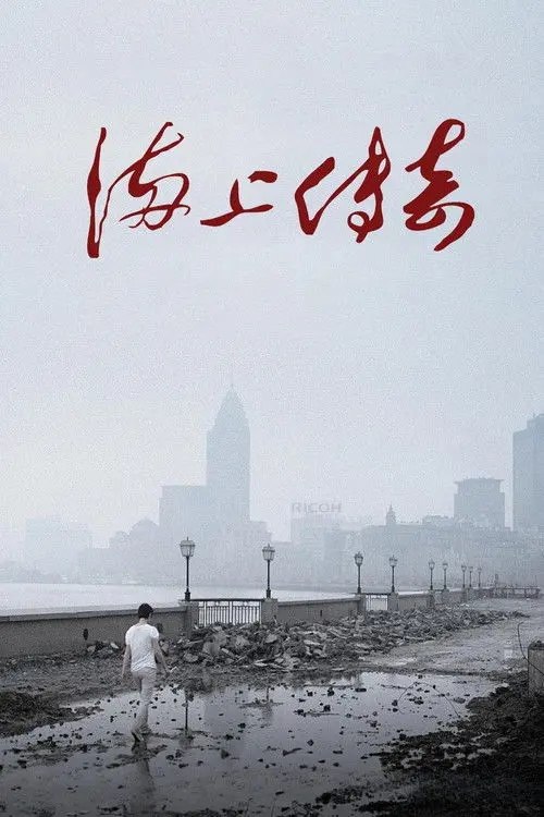 【原盘】海上传奇 (2010) 1080P REMUX 内封简繁字幕
