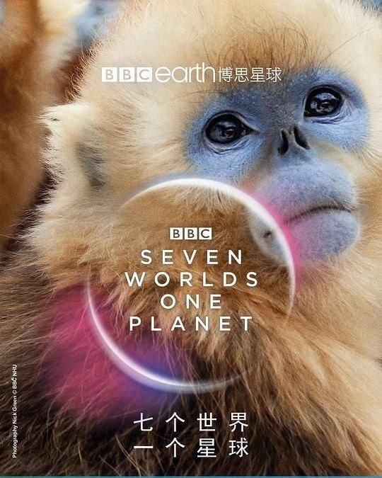 【原盘】七个世界一个星球 (2019) 4K REMUX 全集 外挂简中字幕