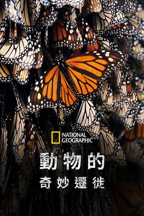 生灵奇旅 (2023) 4K HDR10 全集 内封繁中字幕