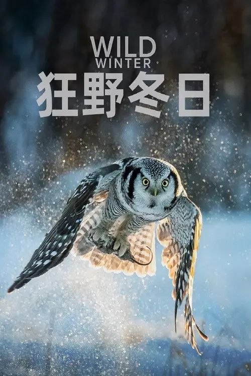 狂野冬日 第一季 (2024) 4K 高码 全4集 国语 简英双语字幕
