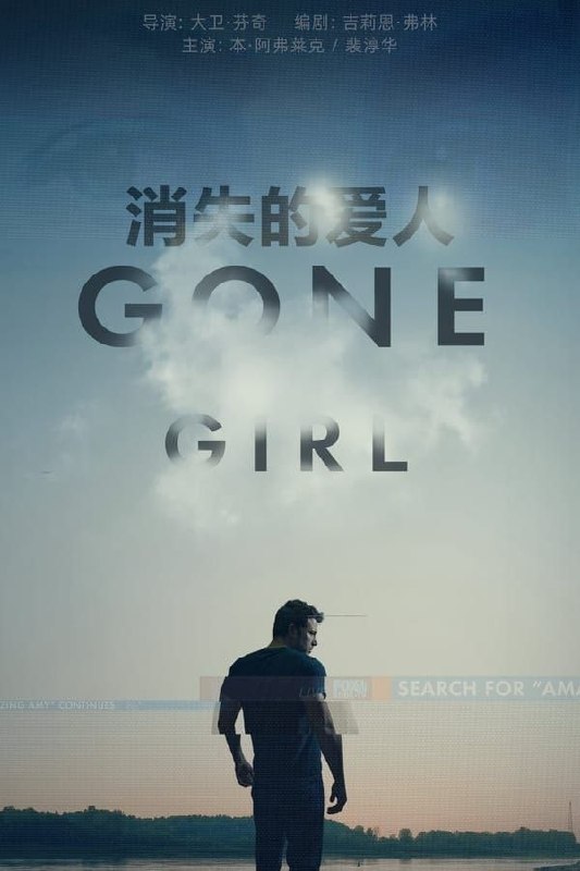 消失的爱人 (2014) 4K SDR 外挂简中字幕
