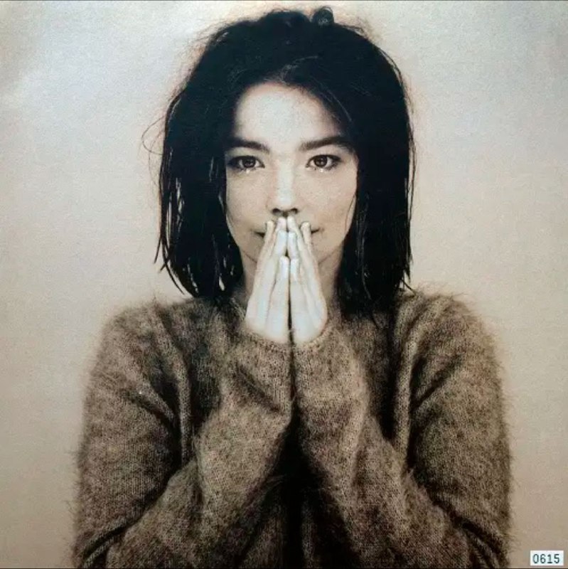 Björk - 1993年专辑 - Debut   Flac