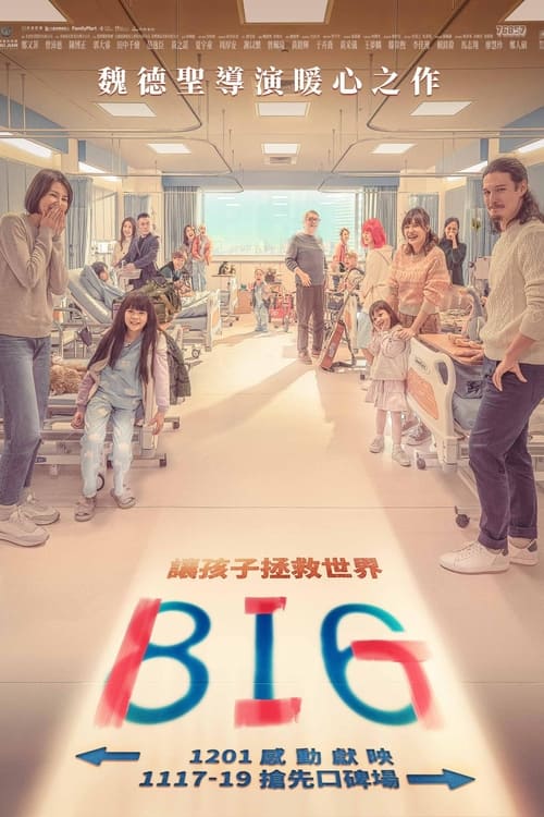 816 / BIG (2023) 4K SDR 60帧 高码率 DTS音轨 内嵌简英