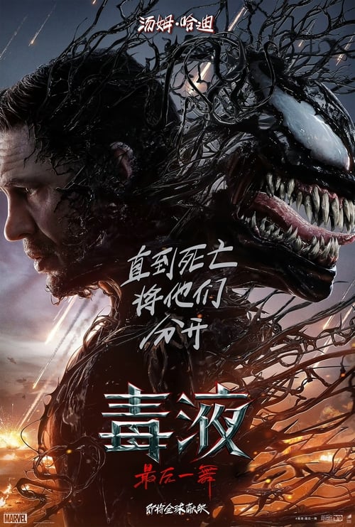 毒液：最后一舞 (2024) 4K SDR 60FPS 高码率 DTS音轨 国英双语