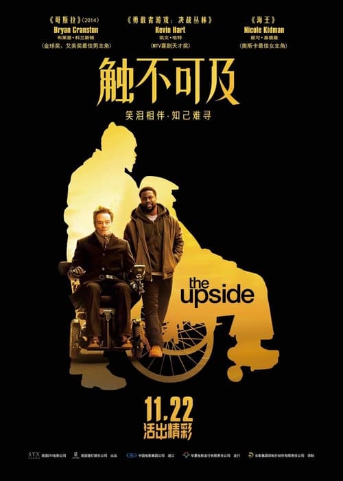 触不可及 (2019) 触不可及 美版 蓝光原盘REMUX 内封字幕