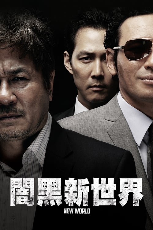 新世界 (2013) 新世界 2013 韩国 豆瓣8.9  排名：134蓝光原盘REMUX 内封简中字幕 老K