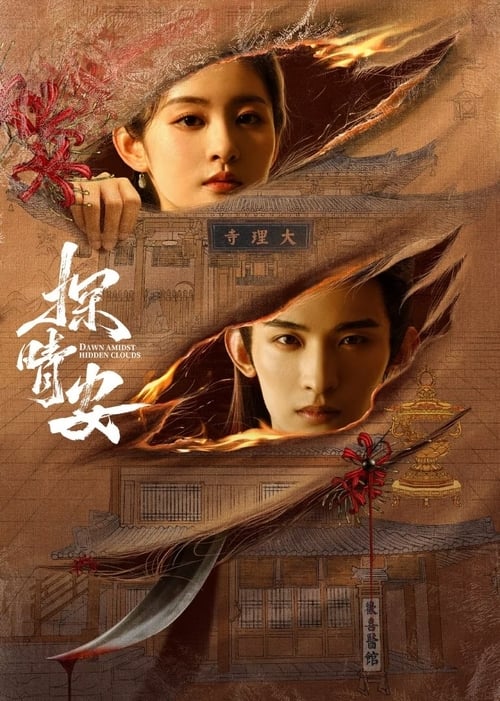 探晴安 (2024) 4K 臻彩 杜比音效 S01E01-E17