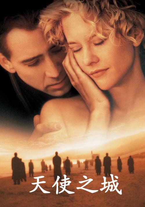天使之城 (1998) 天使之城 1998 豆瓣7.9 蓝光原盘 REMUX 原盘中字 老K 22G