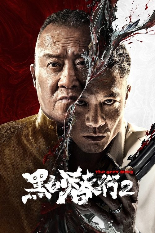 黑白潜行2 (2025) 4K SDR 60帧 高码率 国粤双语