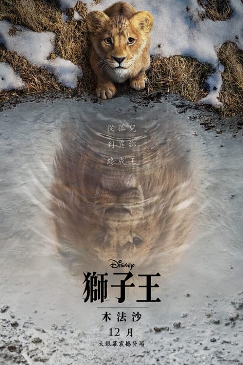 狮子王：木法沙传奇 (2024) 4K SDR 高码率 内封简中