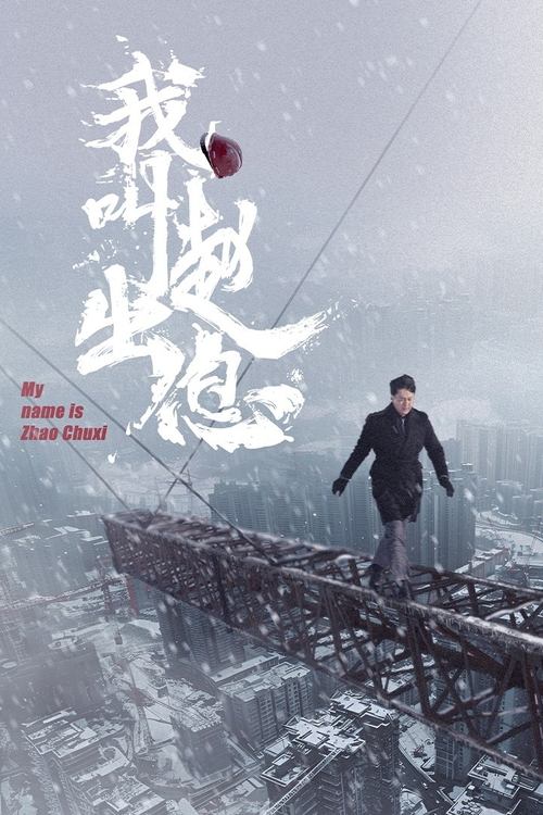 我叫赵出息 (2025) 4K 臻彩 杜比音效 S01E01-E12