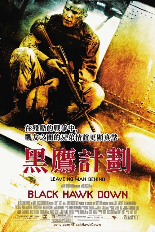 黑鹰坠落 (2001) 4K原盘REMUX 杜比视界 国英双音 特效字幕