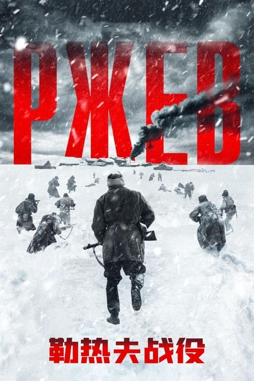 勒热夫战役 (2019) 勒热夫战役 2019 蓝光原盘REMUX 原盘中字 老K 12G