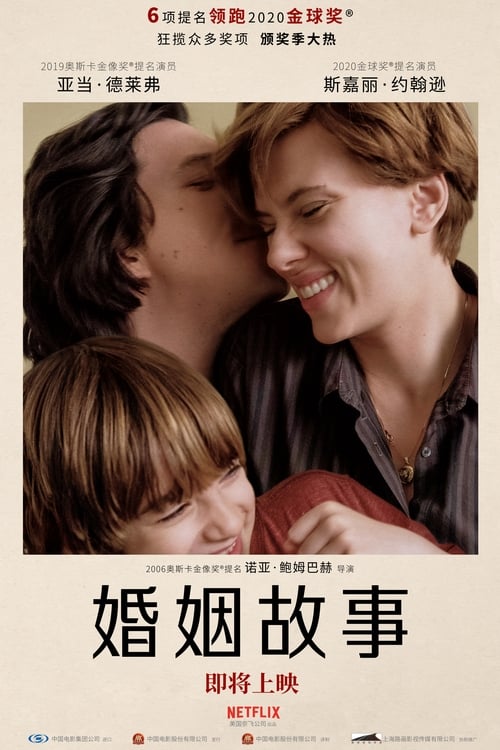 婚姻故事 (2019) 婚姻故事 CC版 2019 寡姐主演 豆瓣8.5 蓝光原盘REMUX 原盘中字 老K 30G