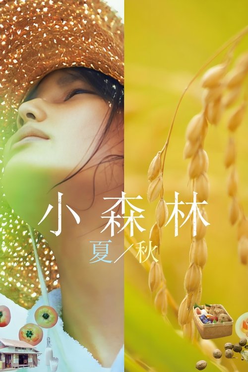 小森林：夏秋篇 (2014) 小森林 夏秋篇 2014 日本 豆瓣排名130 评分9.0 蓝光原盘REMUX 原盘简繁中字 老K 32G