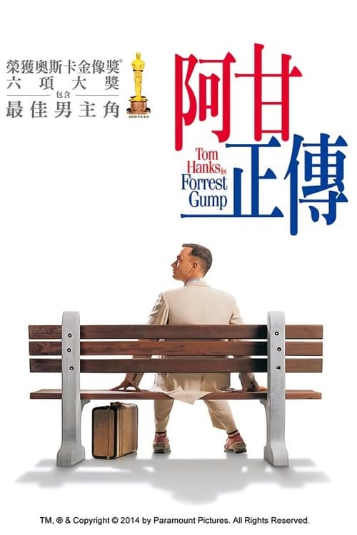 阿甘正传 (1994) 阿甘正传 1994 豆瓣9.5 4K原盘REMUX 杜比视界 国英双音 特效字幕 老K