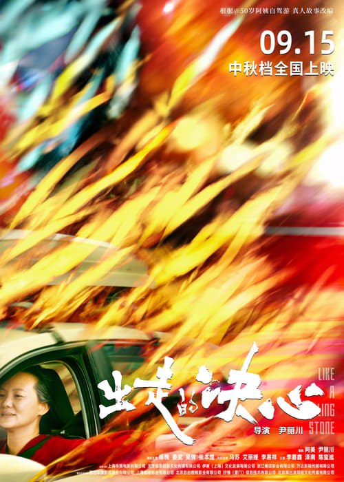出走的决心 (2024) 4K SDR 60帧 高码率 DTS音轨