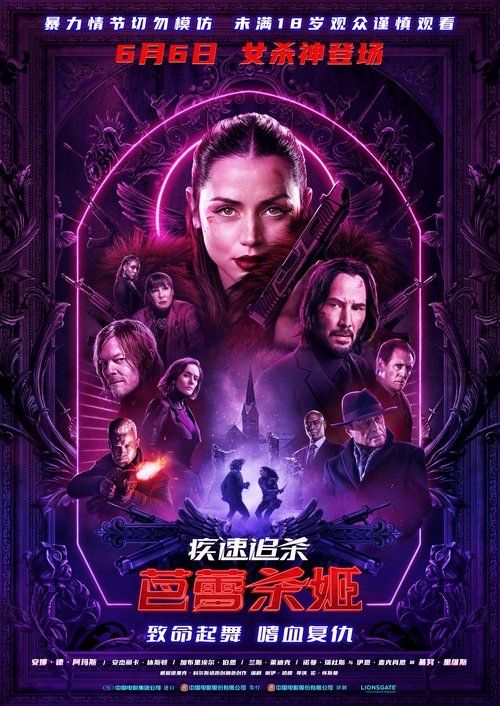 疾速追杀：芭蕾杀姬 (2025) 4K DV＆HDR 特效字幕