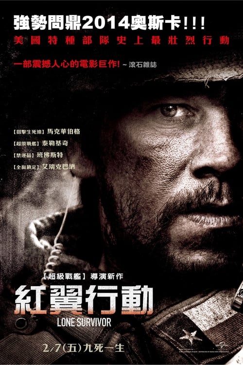 孤独的生还者 (2013) 孤独的幸存者 豆瓣8.1 4K原盘REMUX 国英双音 内封字幕 老K